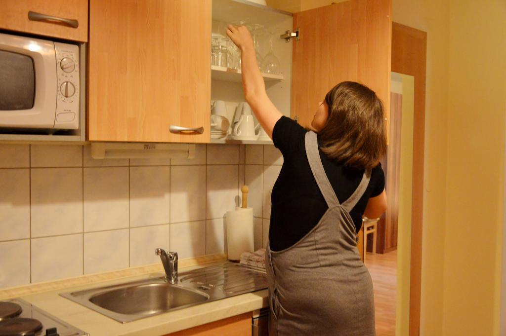 Apartmán Turisticna Kmetija Cebelji Gradic Rogašovci Exteriér fotografie